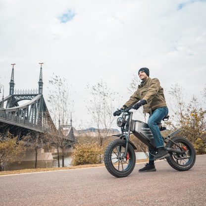 Elektrofahrrad, 20 Zoll Off-Road E-Bike für Erwachsene mit abnehmbarem 48V 25Ah Lithium-Ionen-Akku, doppelte hydraulische Scheibenbremse mit geschmiedetem Mags-Rad - Image 5